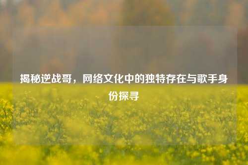揭秘逆战哥，网络文化中的独特存在与歌手身份探寻