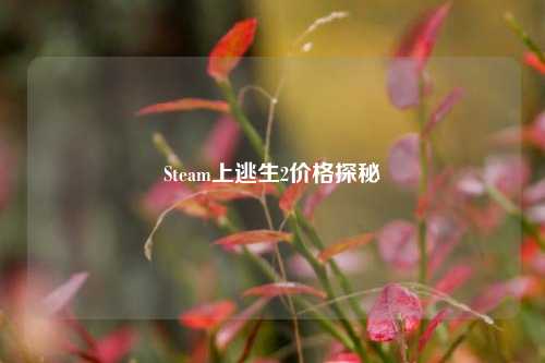 Steam上逃生2价格探秘