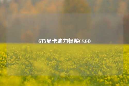 GTX显卡助力畅游CS:GO