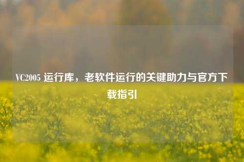 VC2005 运行库,老软件运行的关键助力与官方下载指引