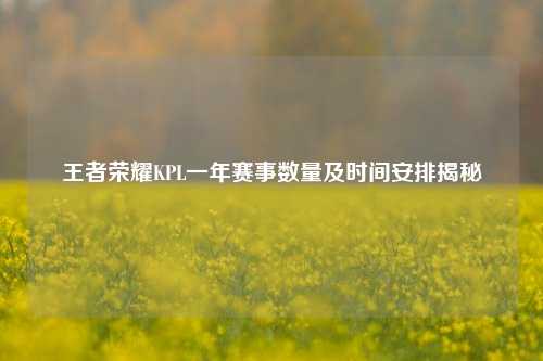王者荣耀KPL一年赛事数量及时间安排揭秘