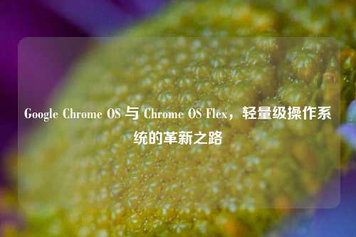 Google Chrome OS 与 Chrome OS Flex,轻量级操作系统的革新之路