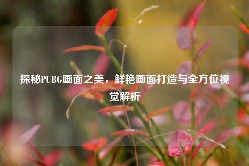探秘PUBG画面之美，鲜艳画面打造与全方位视觉解析