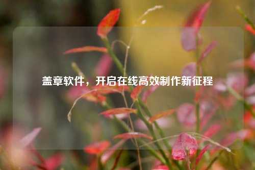 盖章软件,开启在线高效制作新征程