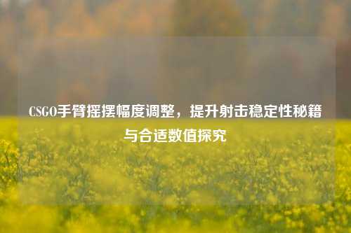 CSGO手臂摇摆幅度调整,提升射击稳定性秘籍与合适数值探究