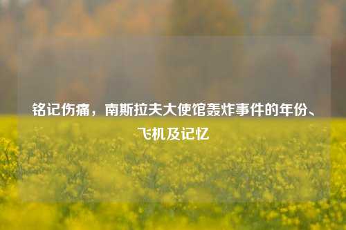 铭记伤痛,南斯拉夫大使馆轰炸事件的年份、飞机及记忆
