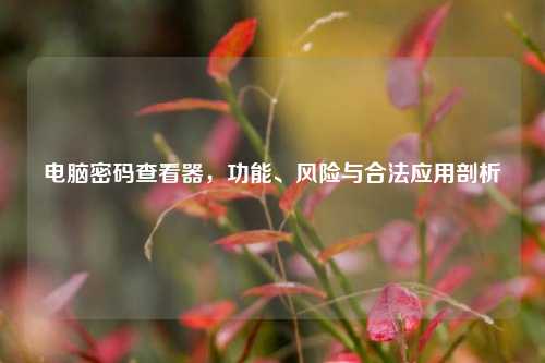 电脑密码查看器，功能、风险与合法应用剖析