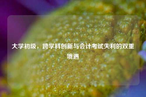 大学初级,跨学科创新与会计考试失利的双重境遇