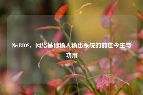 NetBIOS，网络基础输入输出系统的前世今生与功用