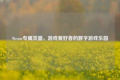 Steam专属页面,游戏爱好者的数字游戏乐园