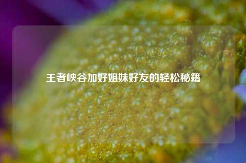 王者峡谷加好姐妹好友的轻松秘籍
