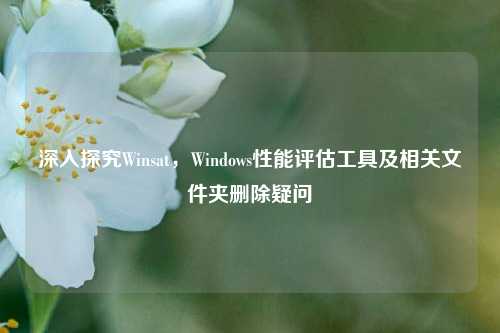 深入探究Winsat，Windows性能评估工具及相关文件夹删除疑问