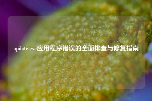 update.exe应用程序错误的全面排查与修复指南