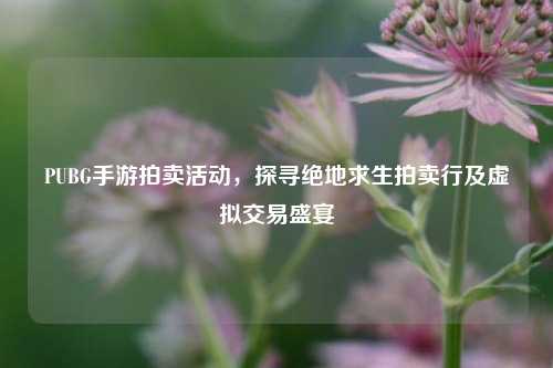 PUBG手游拍卖活动,探寻绝地求生拍卖行及虚拟交易盛宴