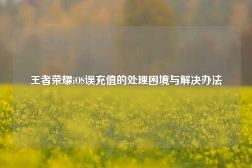 王者荣耀iOS误充值的处理困境与解决办法