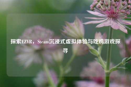 探索EZVR,Steam沉浸式虚拟体验与吃鸡游戏探寻