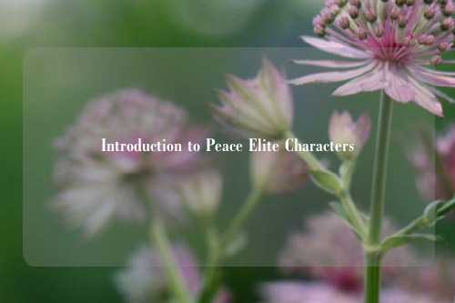 Introduction to Peace Elite Characters