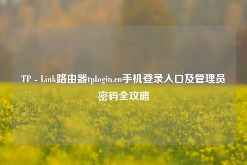 TP - Link路由器tplogin.cn手机登录入口及管理员密码全攻略