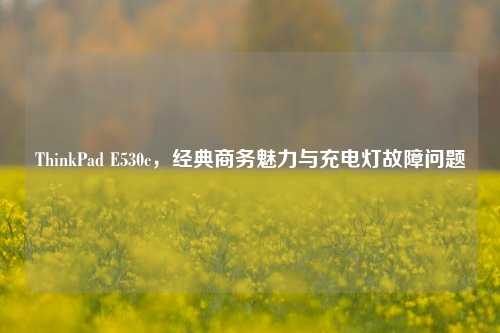 ThinkPad E530c,经典商务魅力与充电灯故障问题
