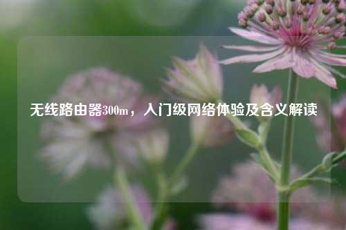 无线路由器300m，入门级网络体验及含义解读