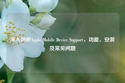 深入剖析Apple Mobile Device Support,功能、安装及常见问题