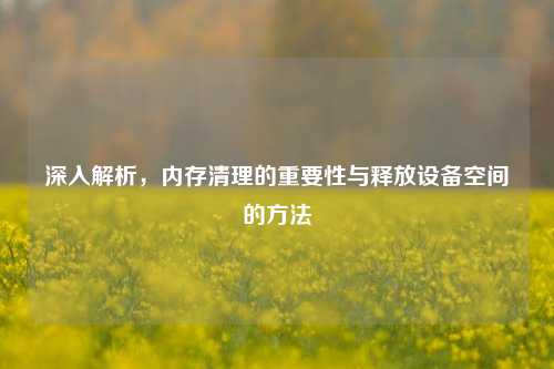 深入解析,内存清理的重要性与释放设备空间的方法