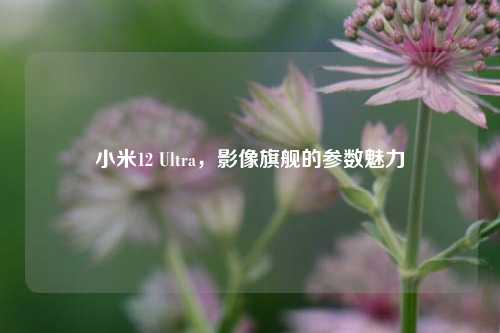 小米12 Ultra,影像旗舰的参数魅力