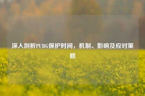 深入剖析PUBG保护时间,机制、影响及应对策略