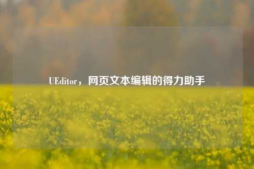UEditor,网页文本编辑的得力助手