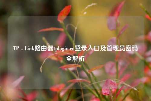 TP - Link路由器tplogin.cn登录入口及管理员密码全解析