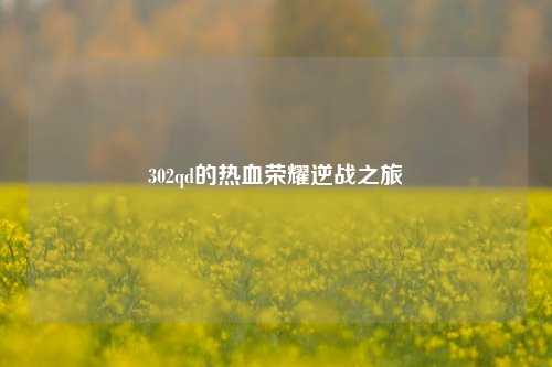 302qd的热血荣耀逆战之旅