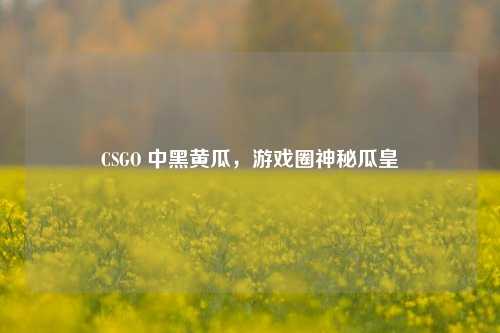 CSGO 中黑黄瓜,游戏圈神秘瓜皇