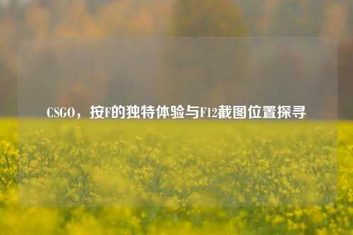 CSGO,按F的独特体验与F12截图位置探寻