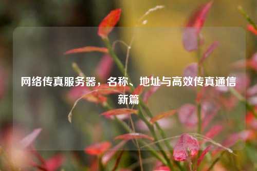 网络传真服务器，名称、地址与高效传真通信新篇