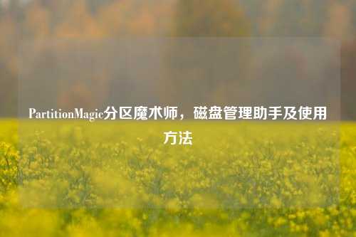 PartitionMagic分区魔术师,磁盘管理助手及使用方法