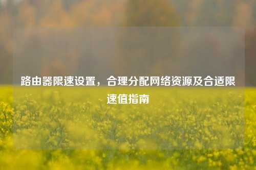 路由器限速设置,合理分配网络资源及合适限速值指南