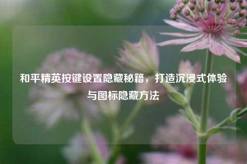 和平精英按键设置隐藏秘籍,打造沉浸式体验与图标隐藏方法