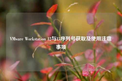 VMware Workstation 12与15序列号获取及使用注意事项