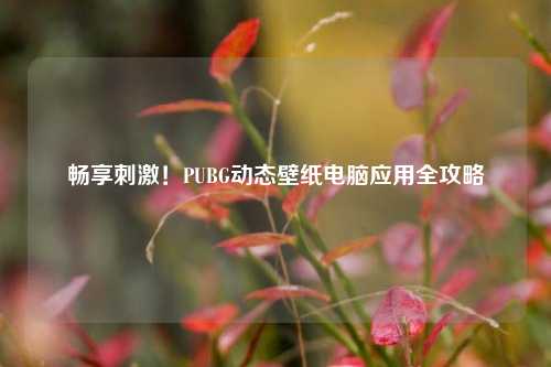 畅享刺激！PUBG动态壁纸电脑应用全攻略