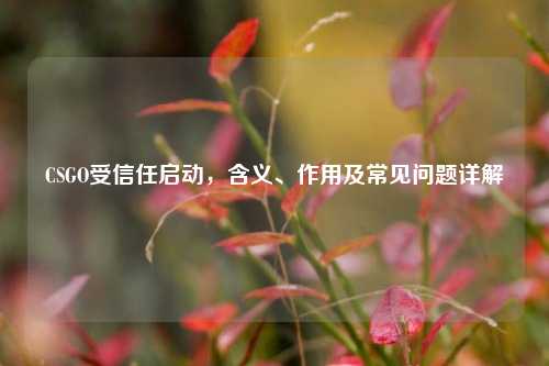 CSGO受信任启动，含义、作用及常见问题详解