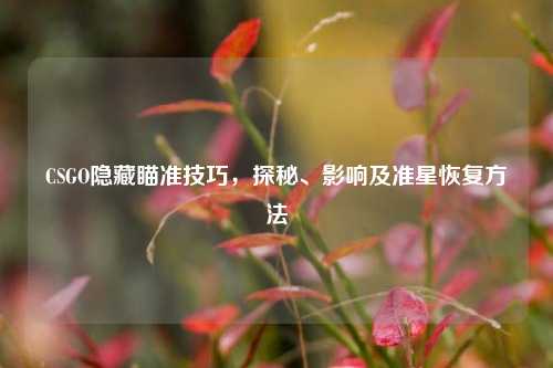 CSGO隐藏瞄准技巧，探秘、影响及准星恢复方法