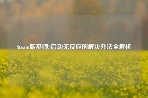 Steam版巫师3启动无反应的解决办法全解析