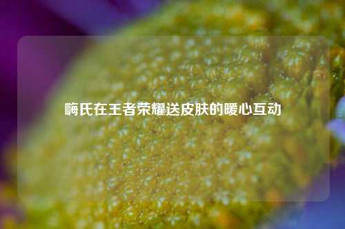 嗨氏在王者荣耀送皮肤的暖心互动