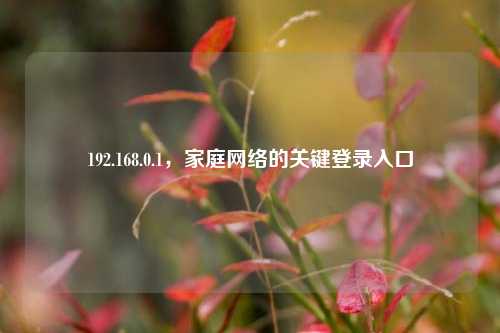 192.168.0.1，家庭网络的关键登录入口