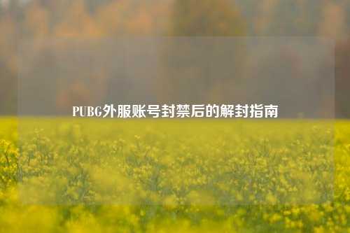 PUBG外服账号封禁后的解封指南