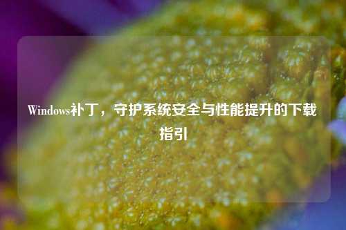 Windows补丁,守护系统安全与性能提升的下载指引