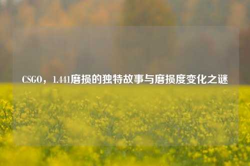 CSGO，1.441磨损的独特故事与磨损度变化之谜
