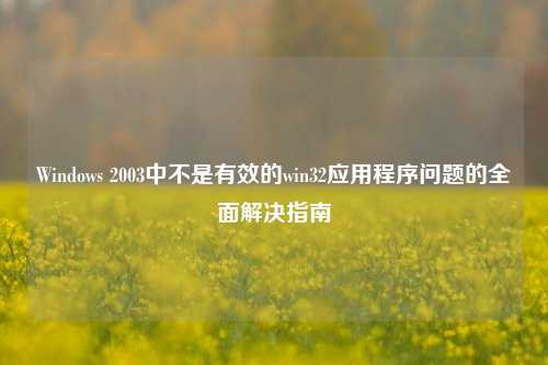 Windows 2003中不是有效的win32应用程序问题的全面解决指南