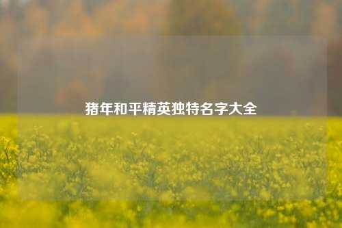 猪年和平精英独特名字大全