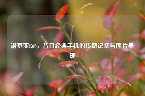 诺基亚E66，昔日经典手机的传奇记忆与图片呈现